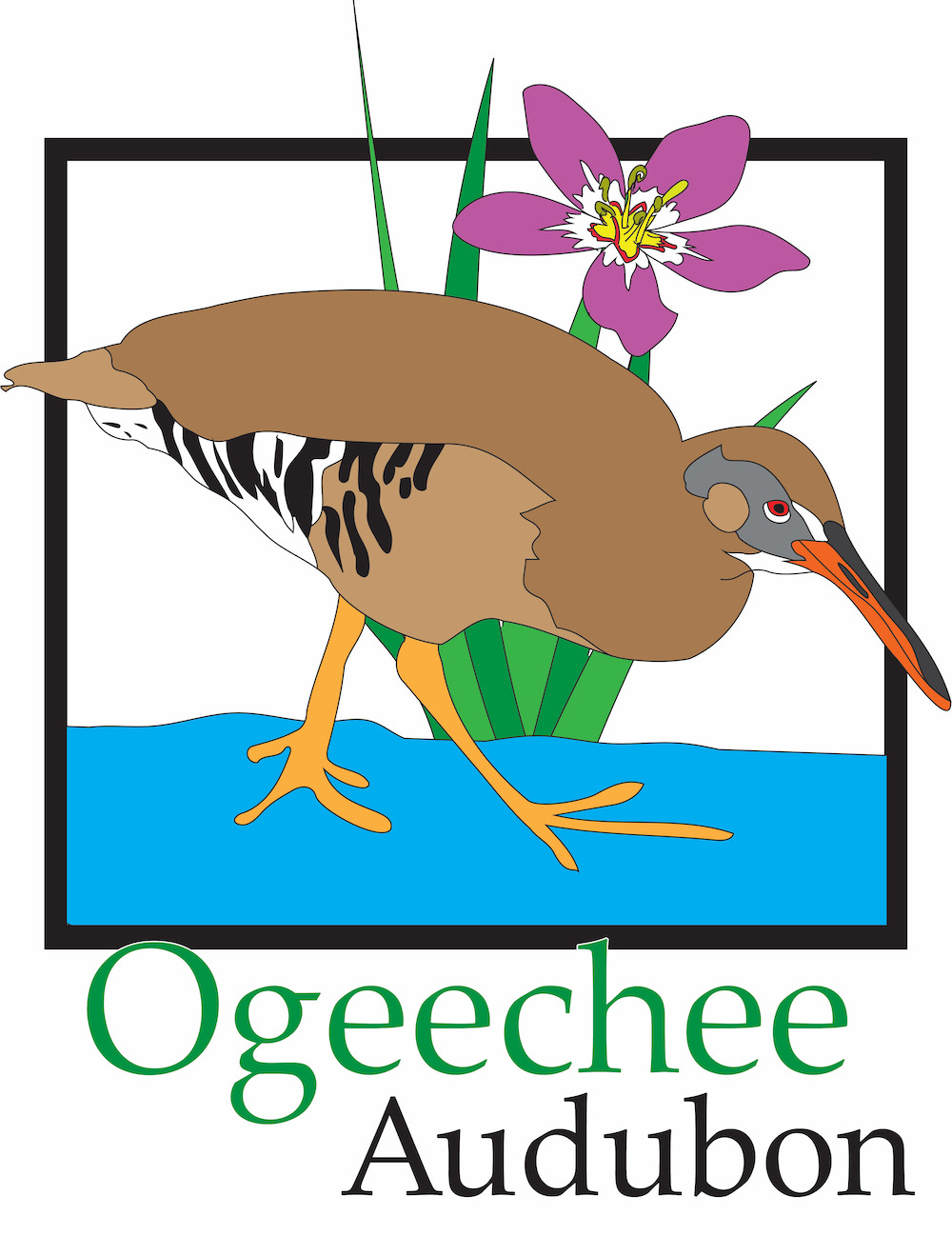 Ogeechee Audubon Society